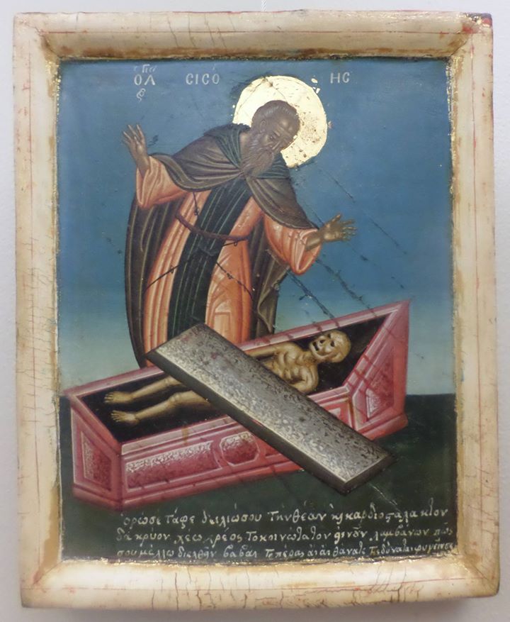 1556220_858288770865692_5831645779197636766_o