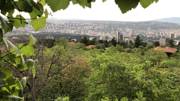 2019-05-11_19-38-11+0400.jpeg 2019 05 11 19 38 11+0400