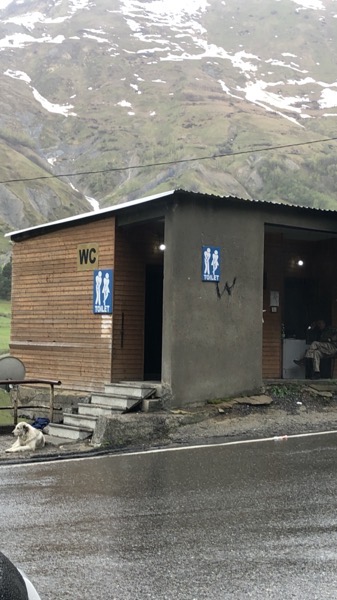 IMG_0834.jpeg IMG 0834