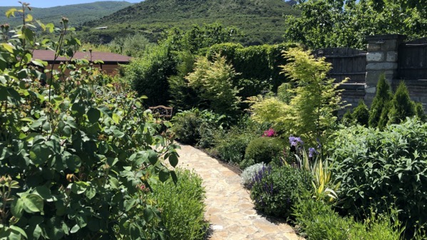 IMG_0984.jpeg IMG 0984