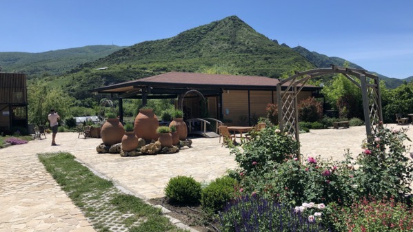 IMG_0985.jpeg IMG 0985