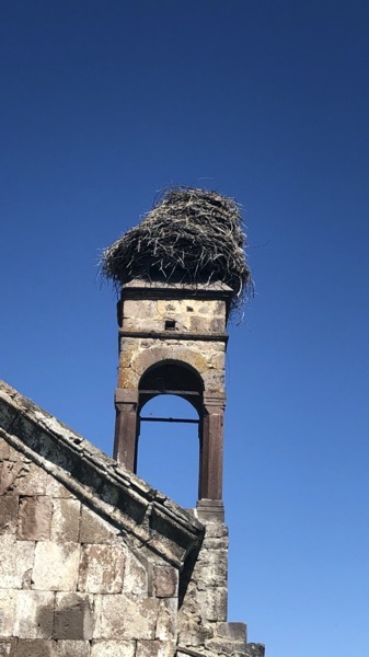 IMG_1047.jpeg IMG 1047