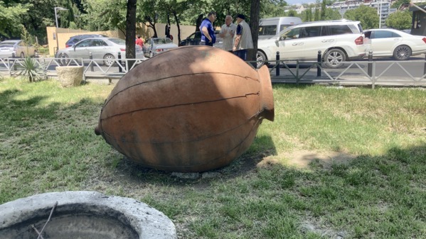 IMG_1233.jpeg IMG 1233